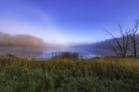 Minnesota Landscapes