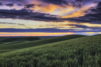 Washington Landscapes