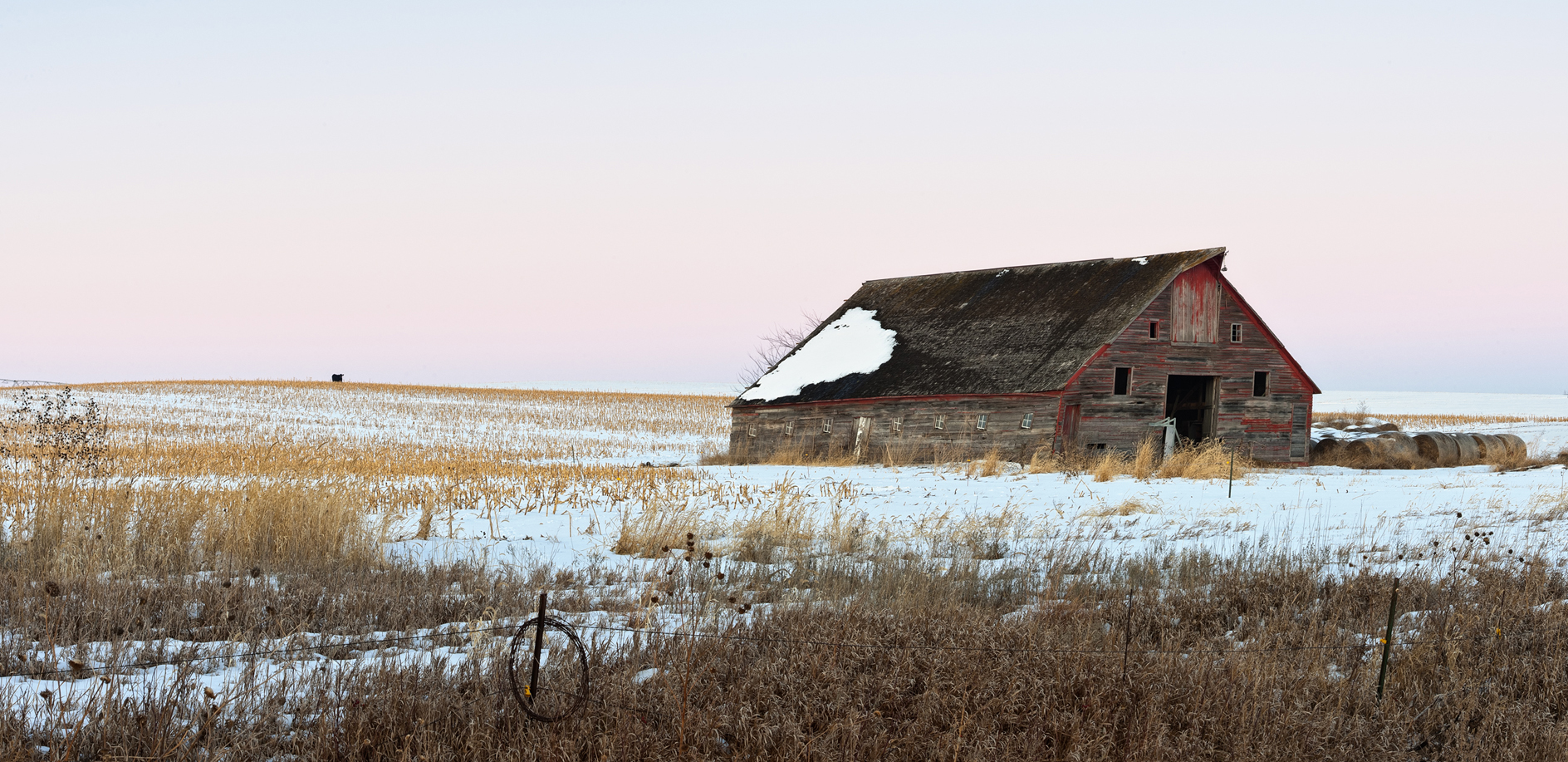 A Long Way from the Barn