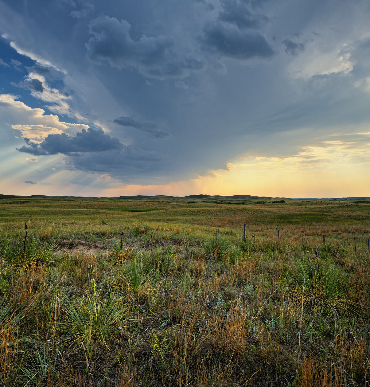 A Scent of Heaven II