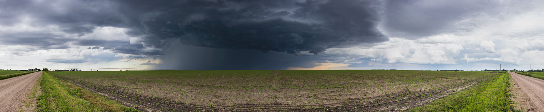 A Welcome Distraction