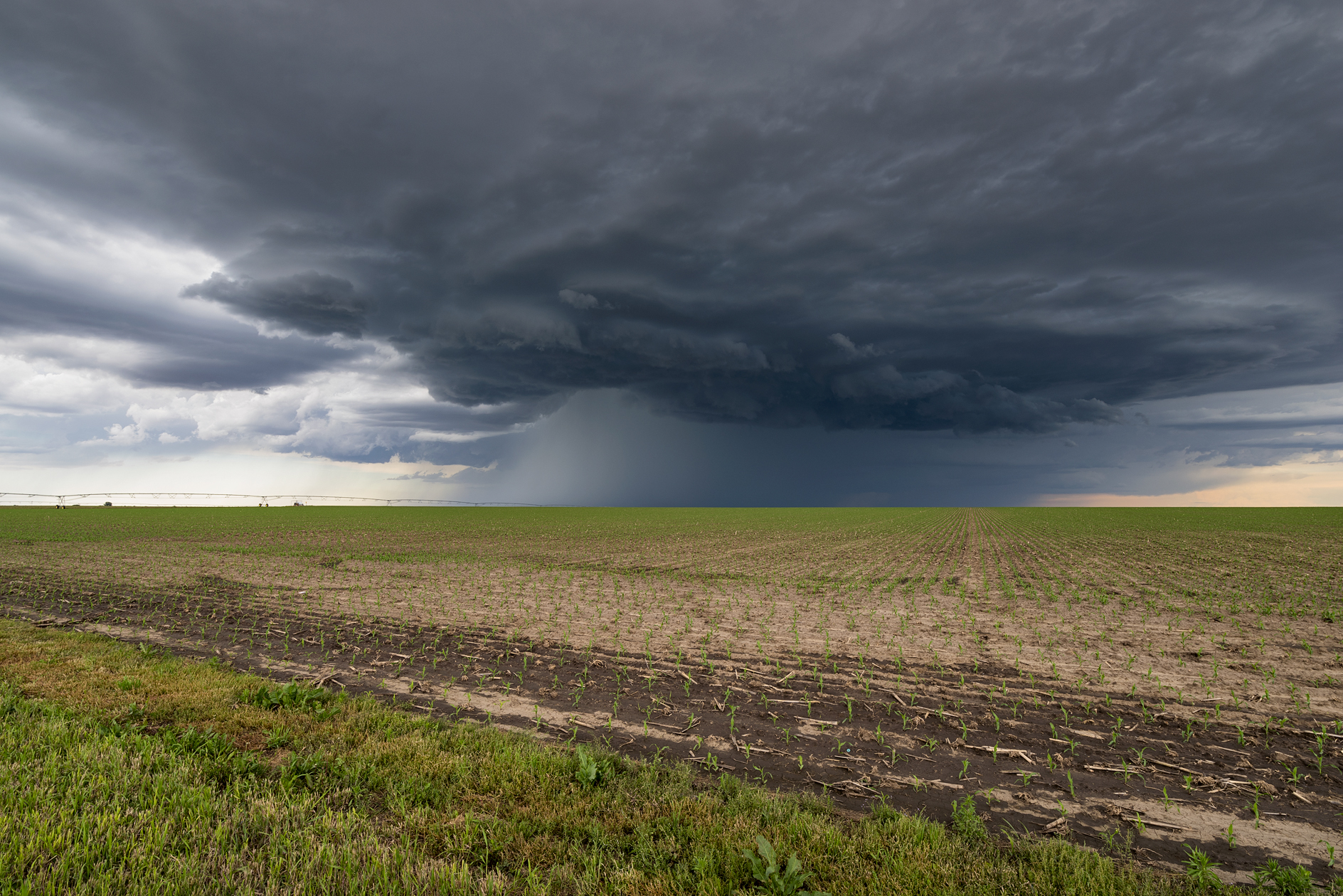 A Welcome Distraction II