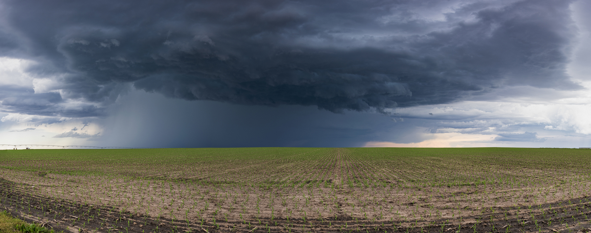 A Welcome Distraction III