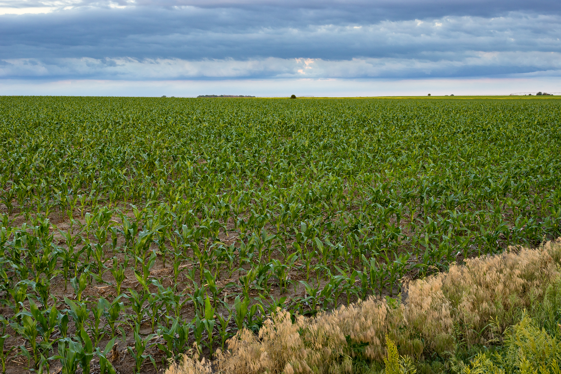 Across a Furrowed Field