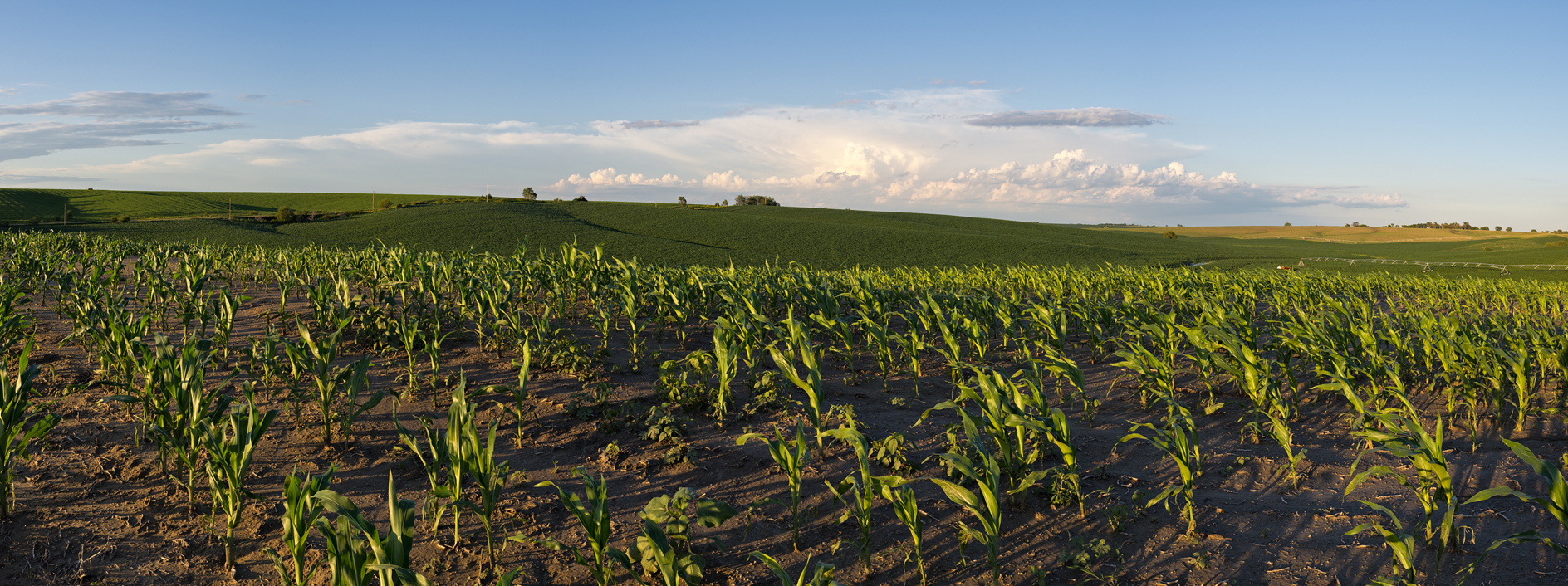 Across Hill and Dale