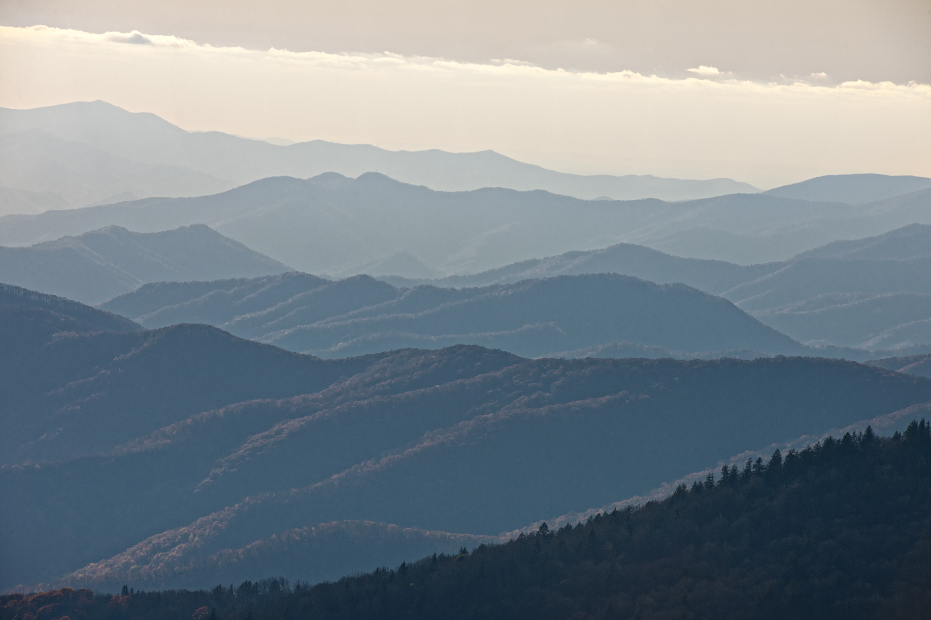 Afternoon Abstractions