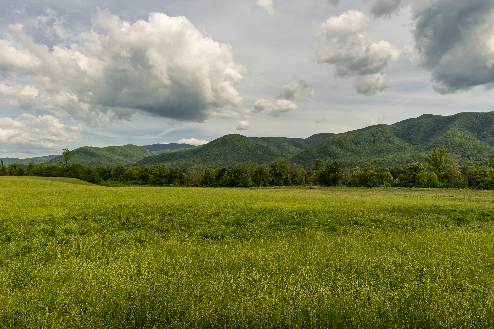 Afternoon At the Cove