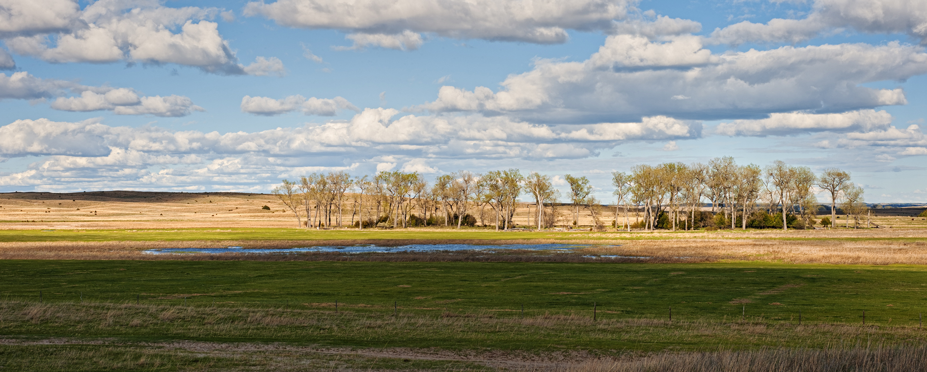 Afternoon Brightspot