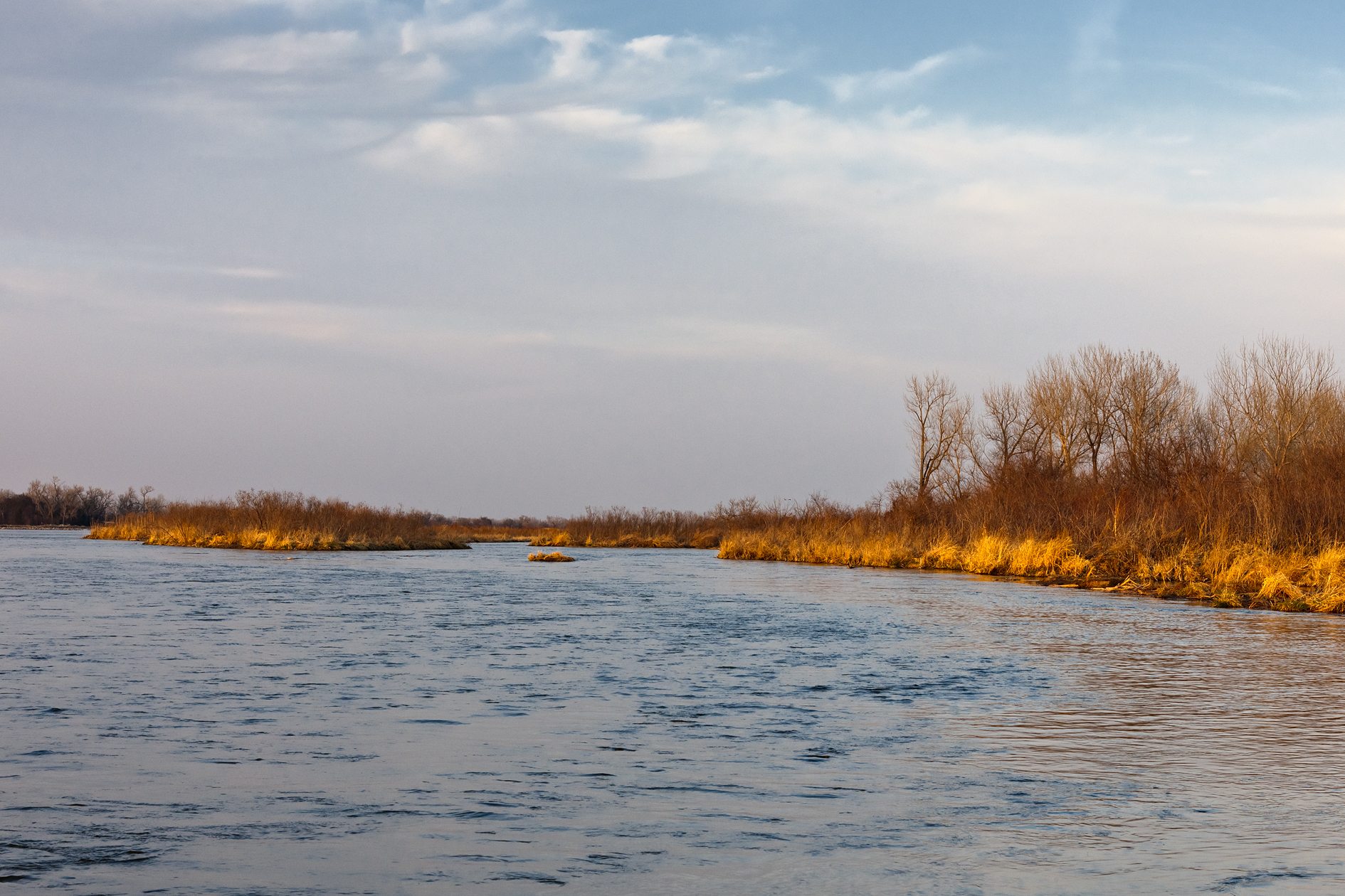Afternoon on the Platte