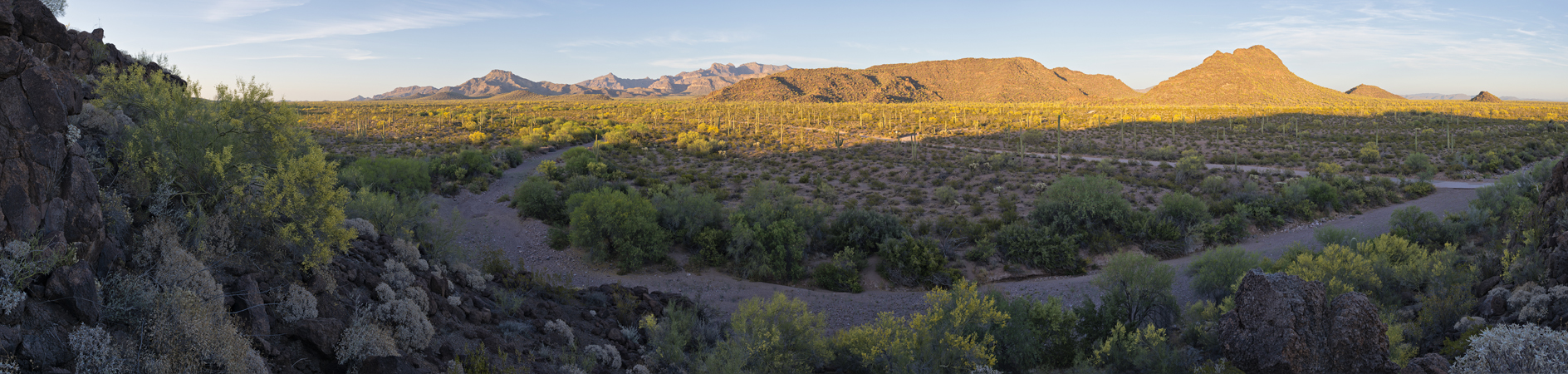Ajo Drive Evening
