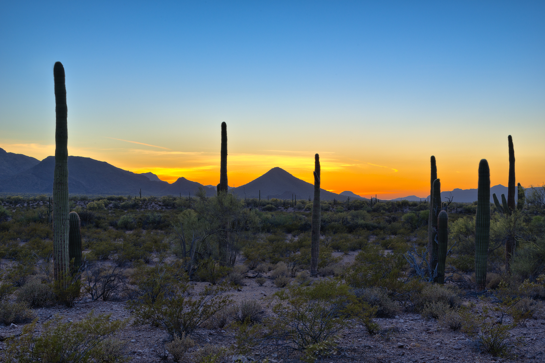 Ajo Valley Sundown