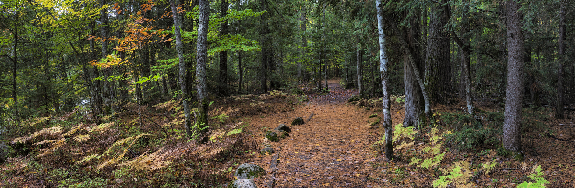 Along a Quiet Trail II