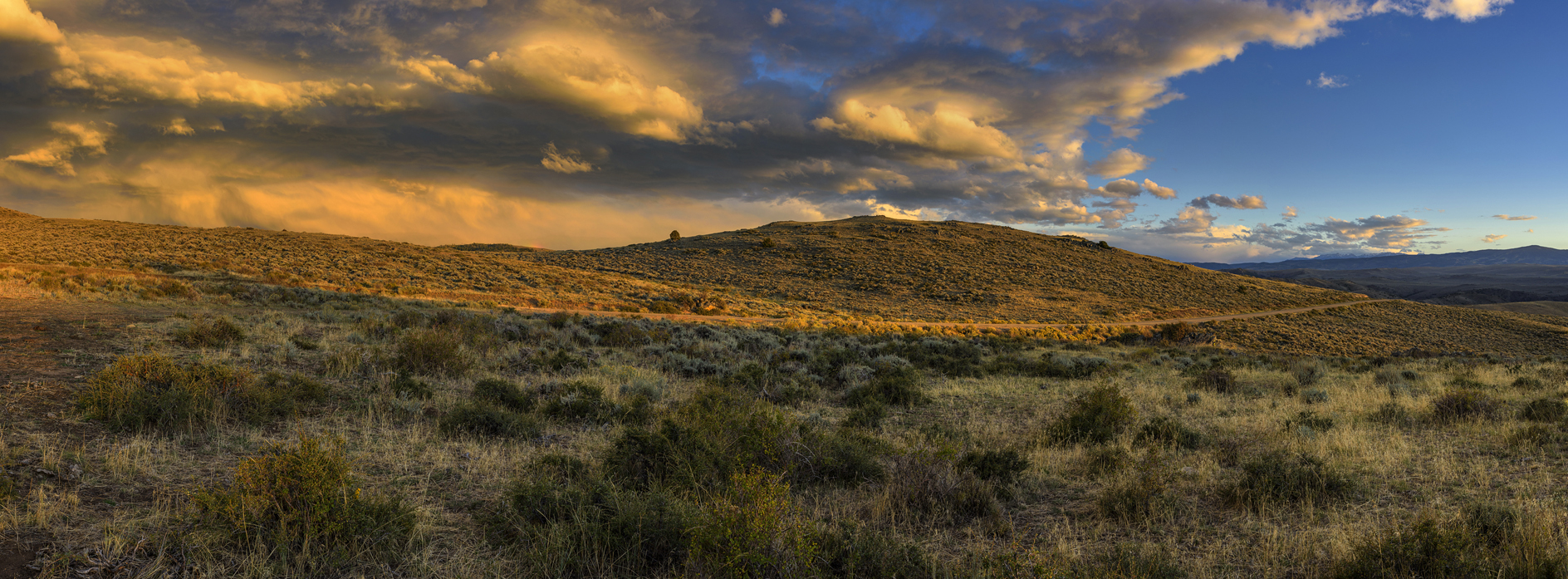 Along Bennett Peak Road