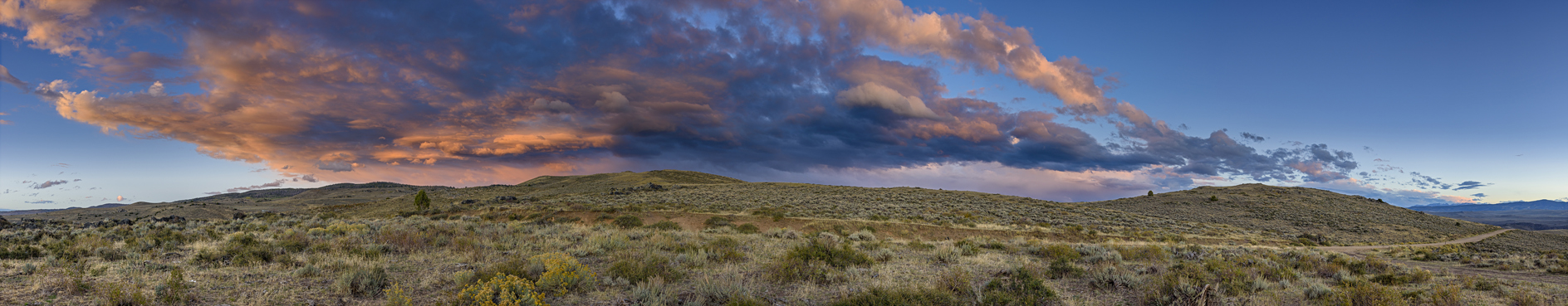 Along Bennett Peak Road II