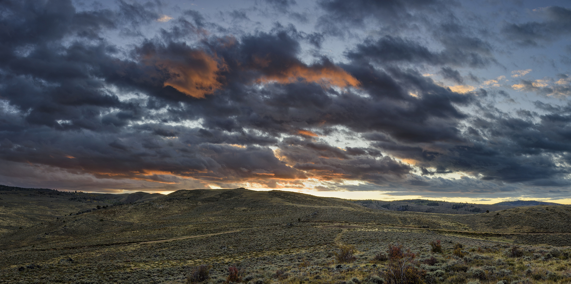 Along Bennett Peak Road III