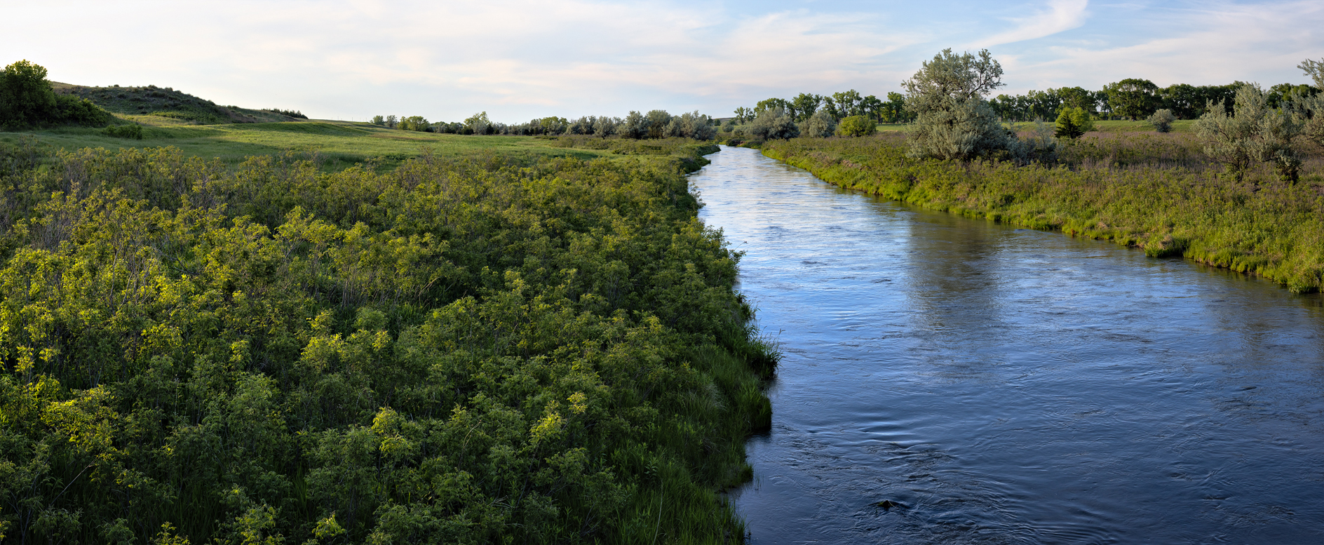 Along Birdwood Creek