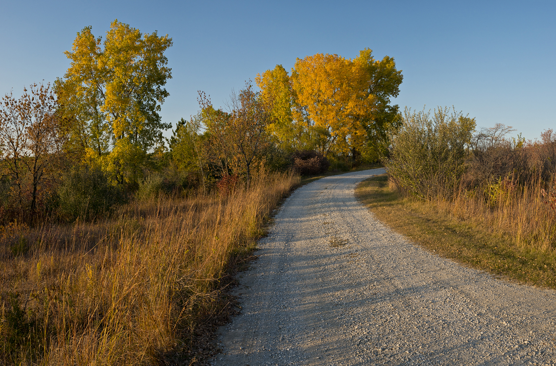 Along Czechland Lake