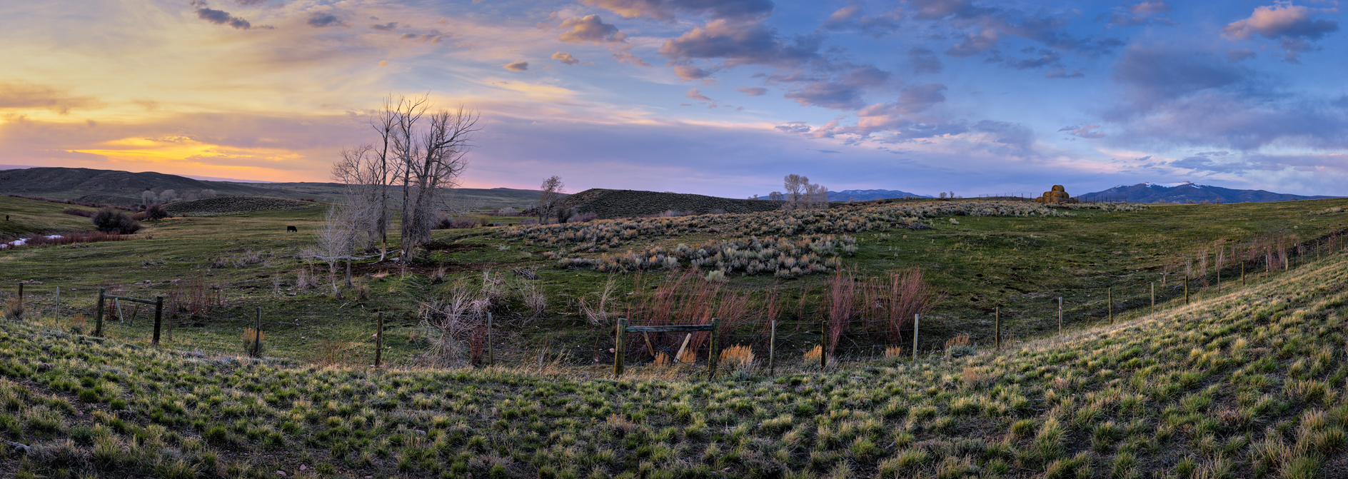 Along Elk Hollow Creek