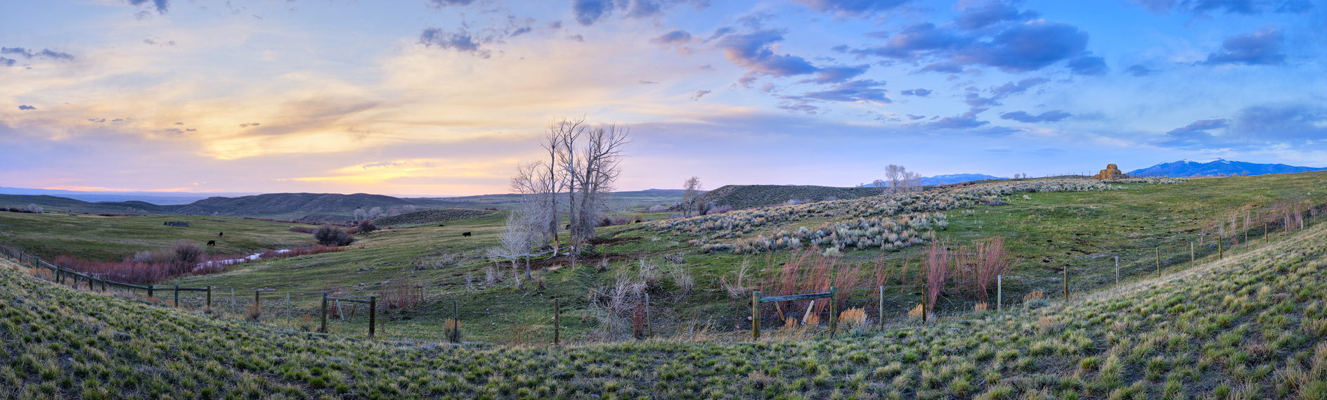 Along Elk Hollow Creek II
