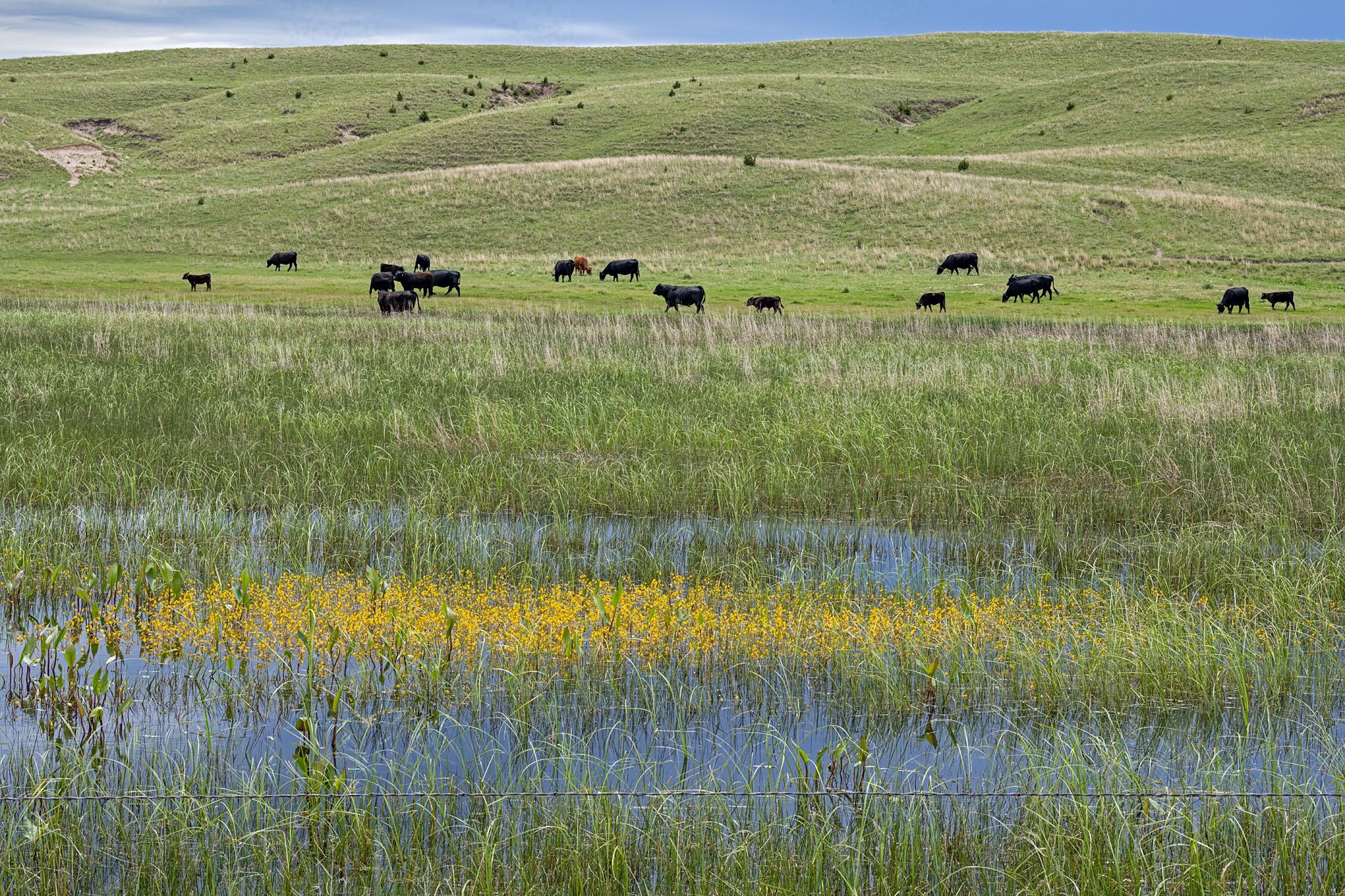 Along German Valley Road II