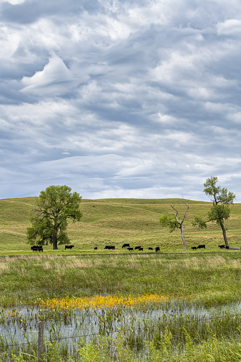 Along German Valley Road III