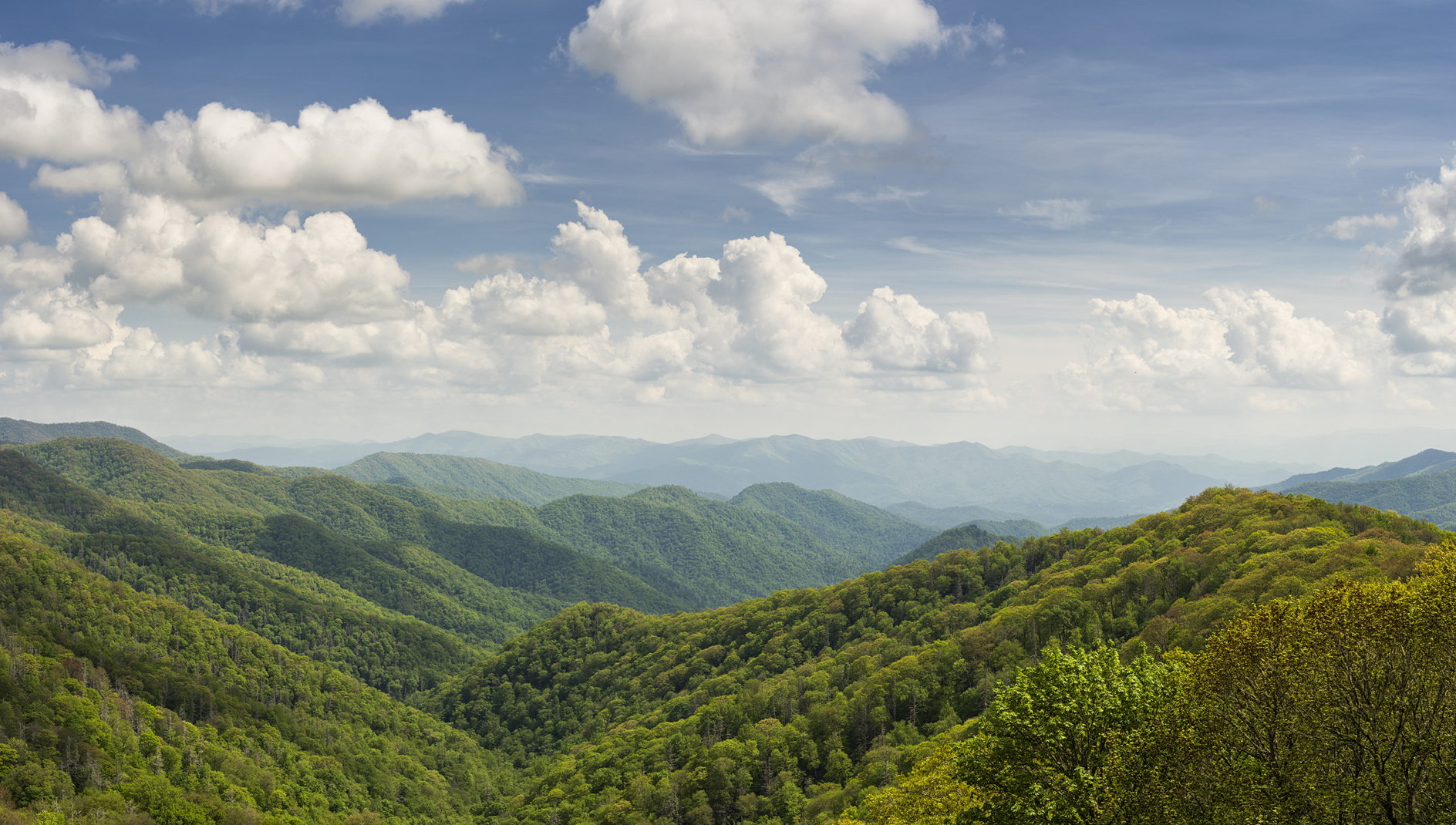 Along Newfound Gap Road