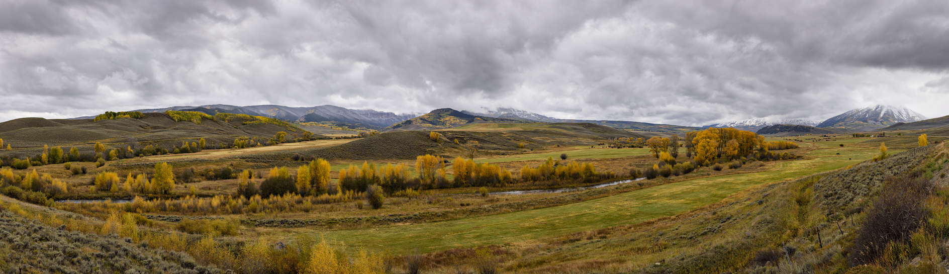 Along Ohio Creek Road II