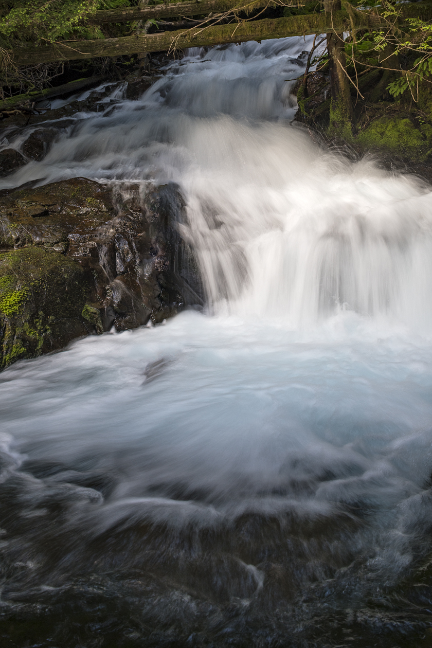 Along Panther Creek II