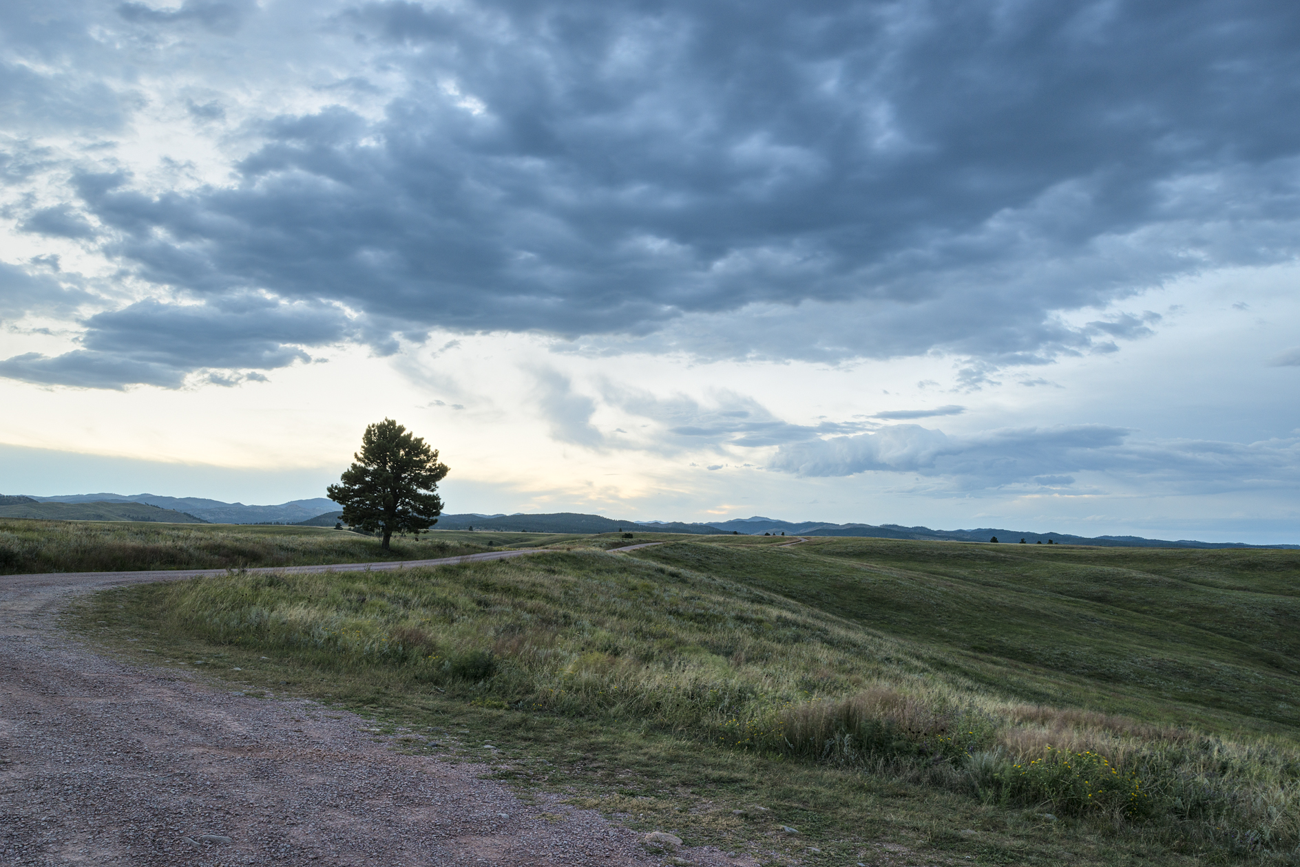 Along Red Valley Road II