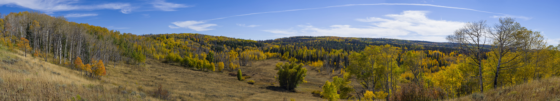 Along Sage Creek Road