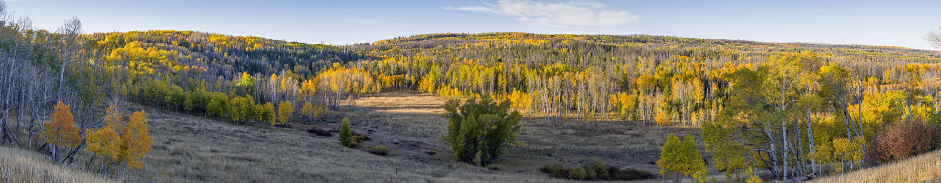 Along Sage Creek Road II