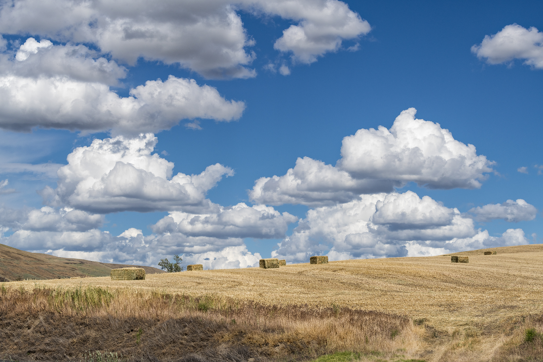 Along Smith Hollow Road