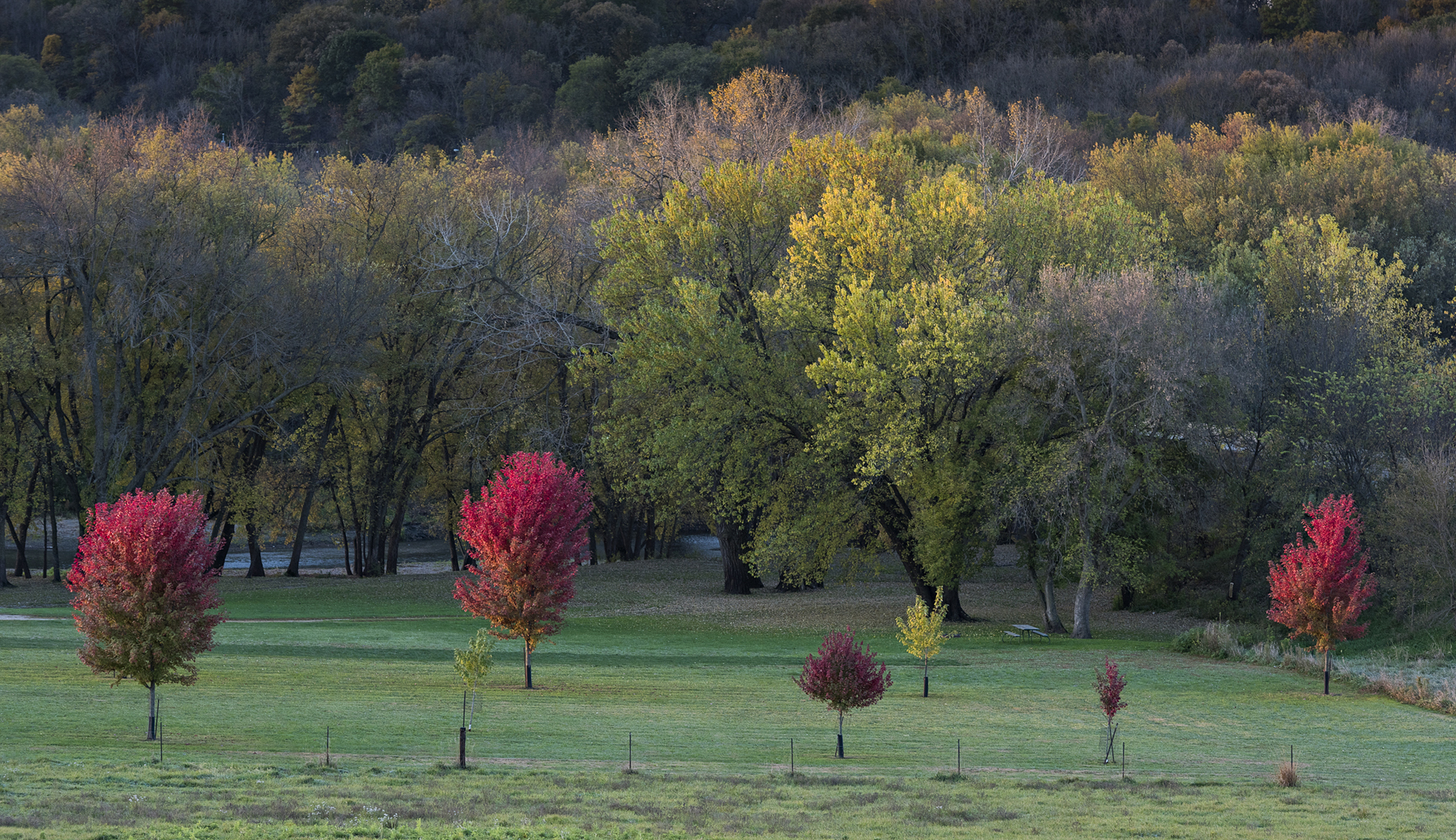 Along the Little Sioux