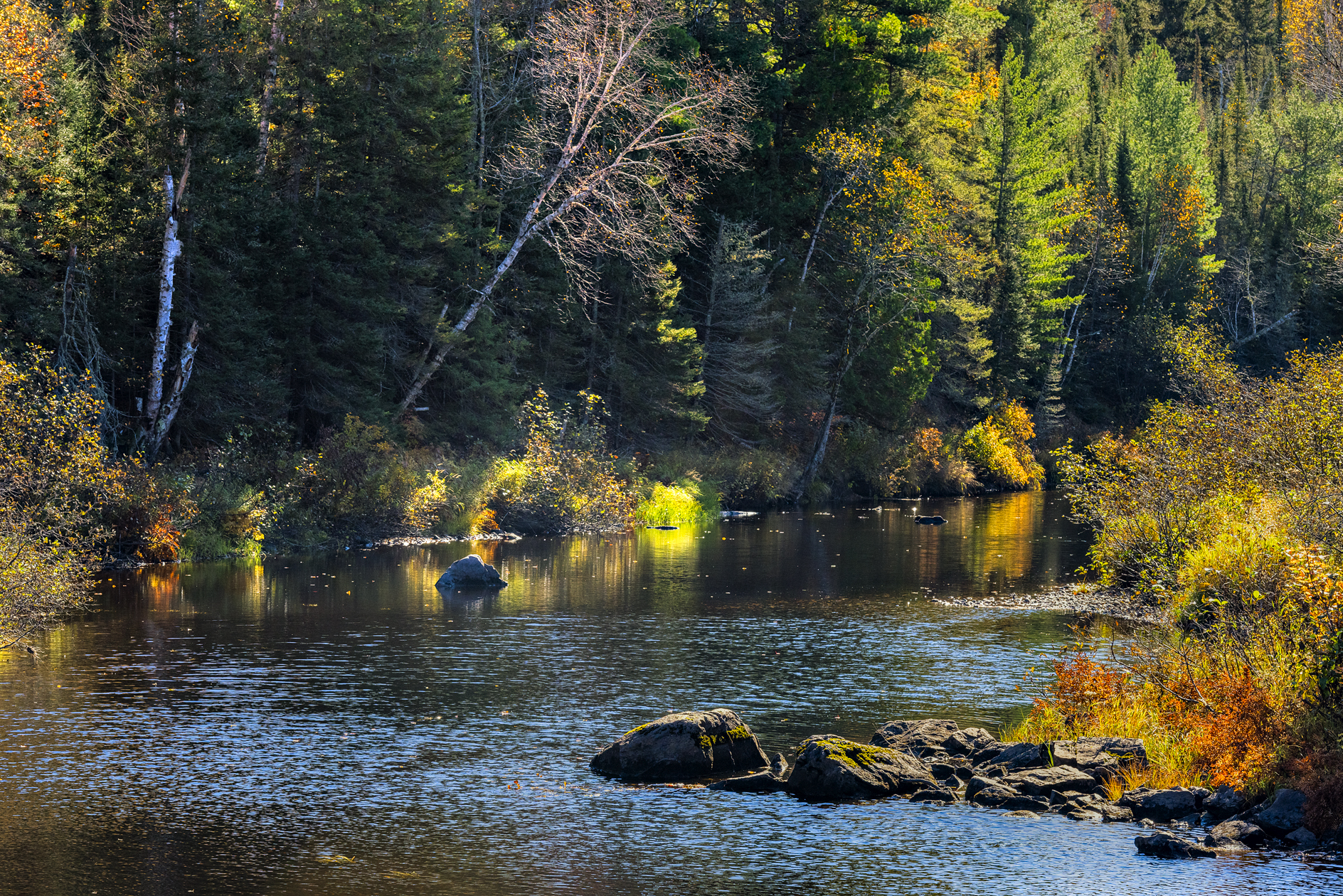 Along the Peshekee River II