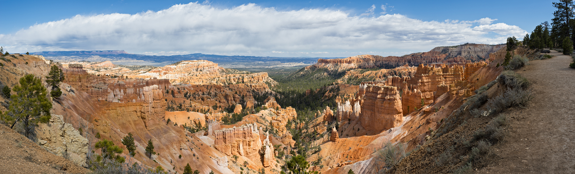 Along the Pink Cliffs