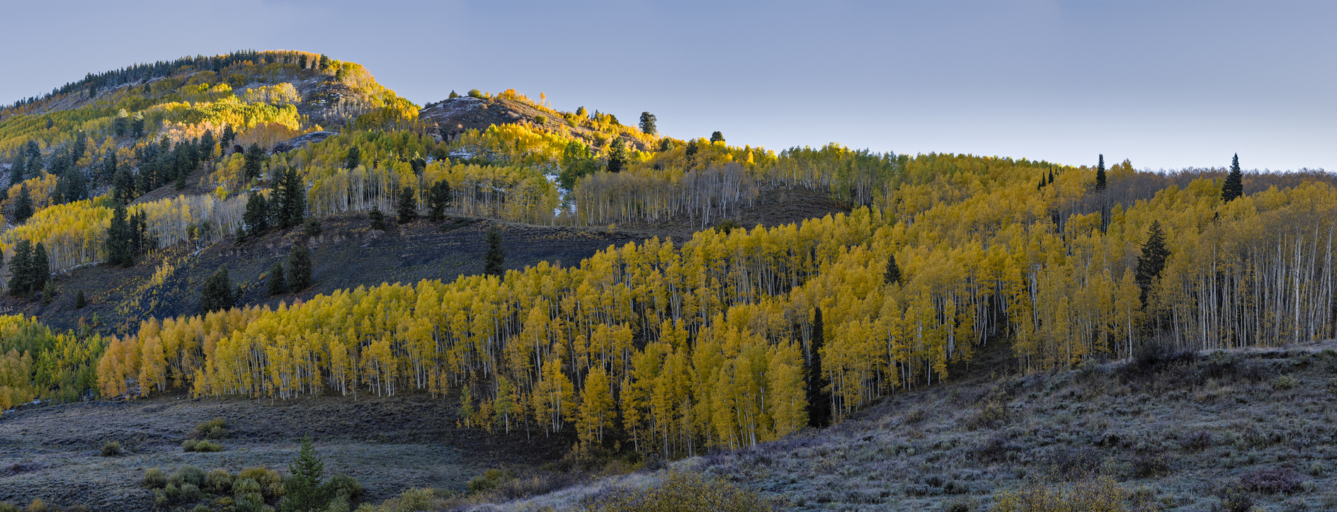 Along the Slate River Road II