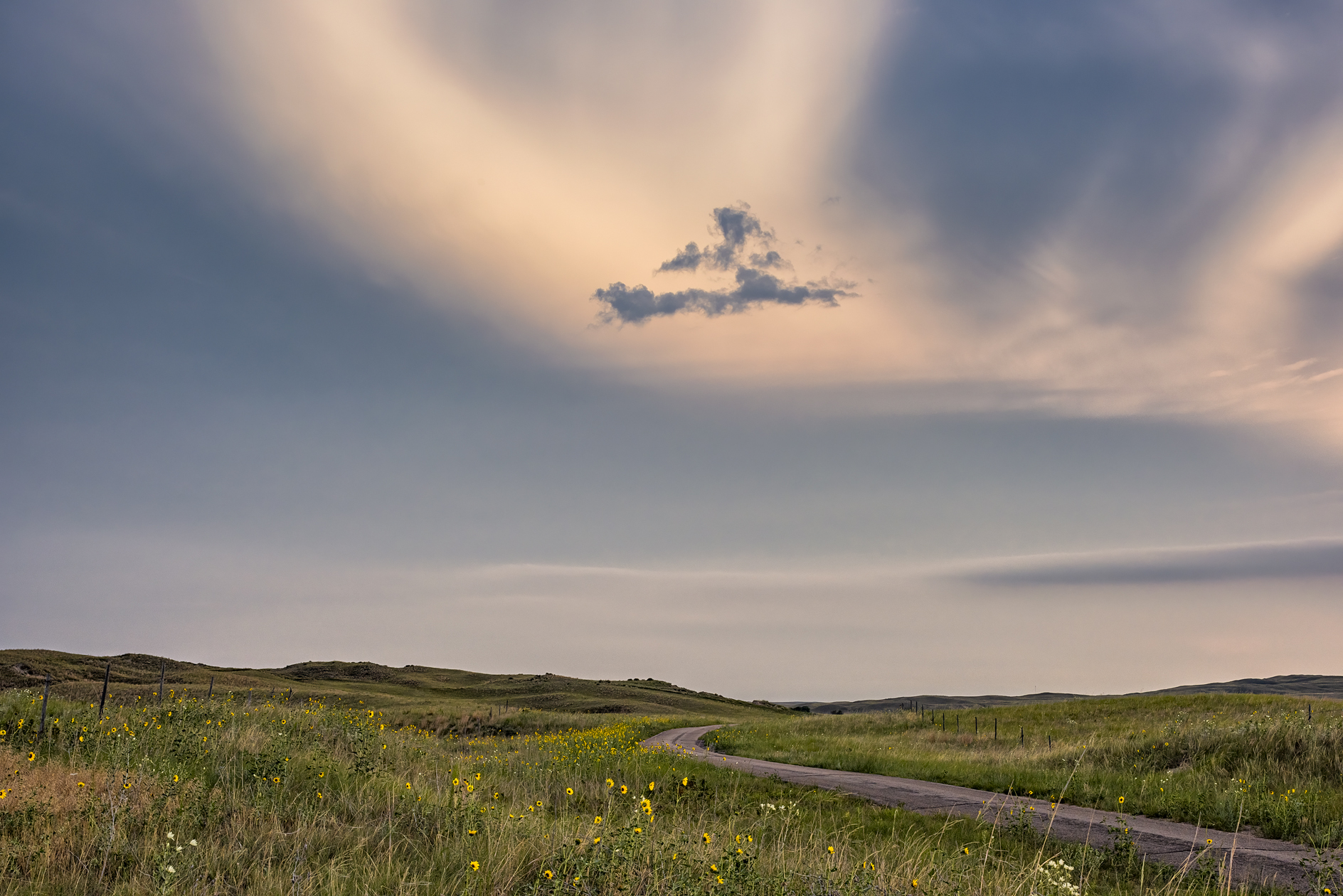 Along Whitman Road II