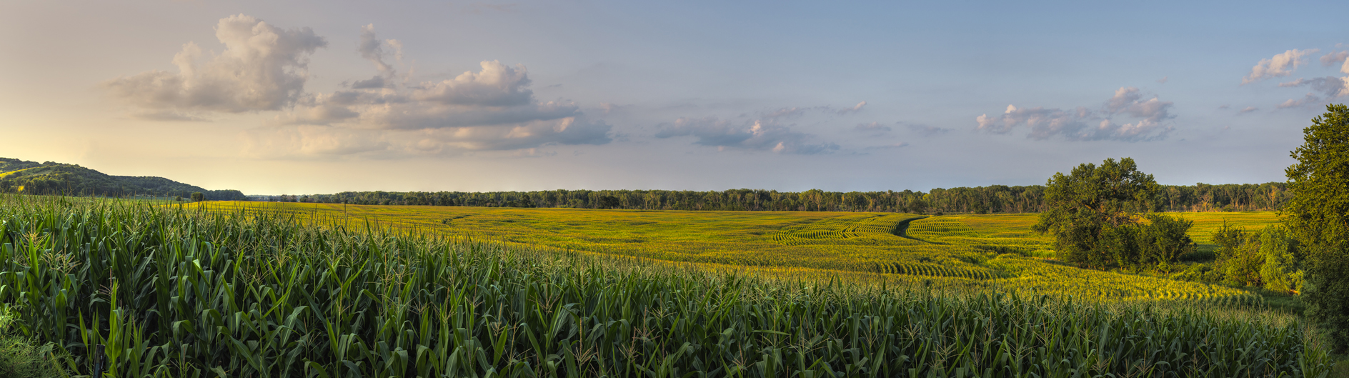 Alongside the River Road