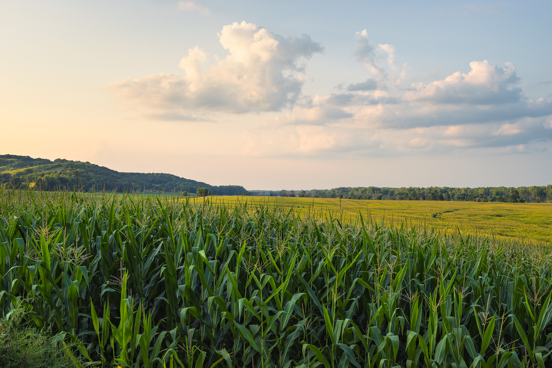 Alongside the River Road II