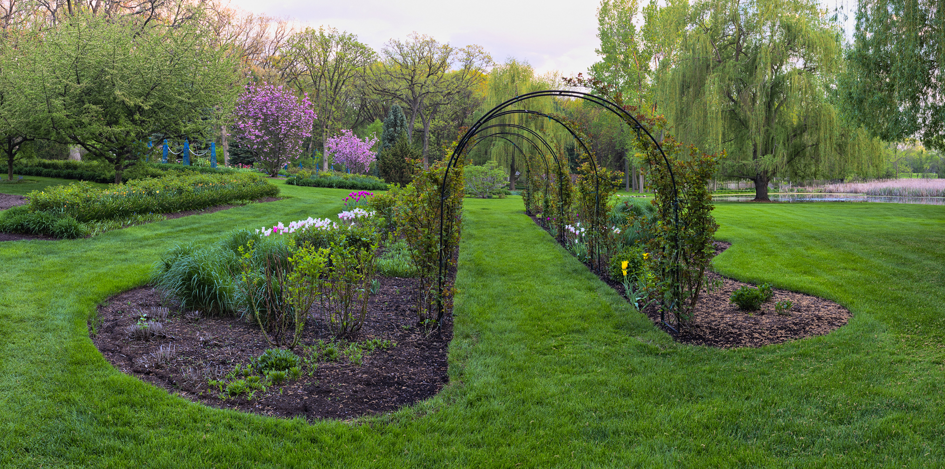 An Evening in the Garden