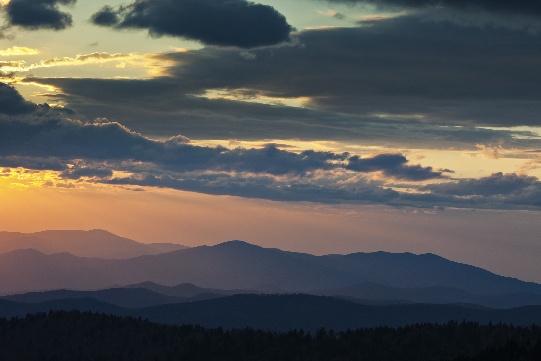 Appalachian Dream IV