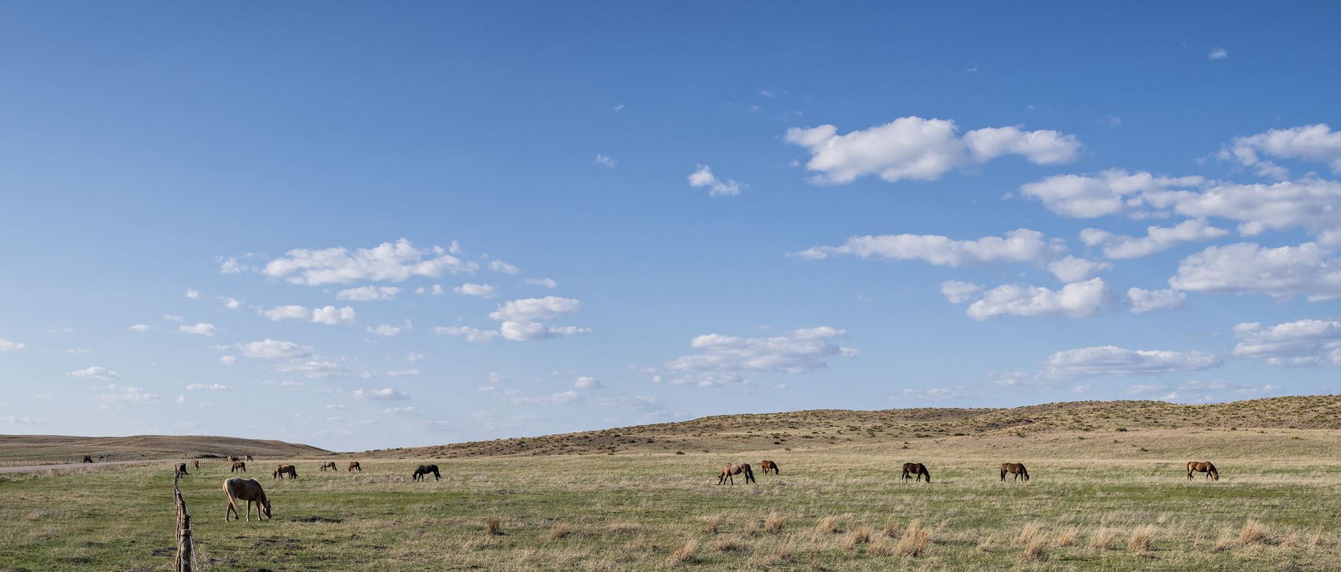 Arthur County Afternoon III