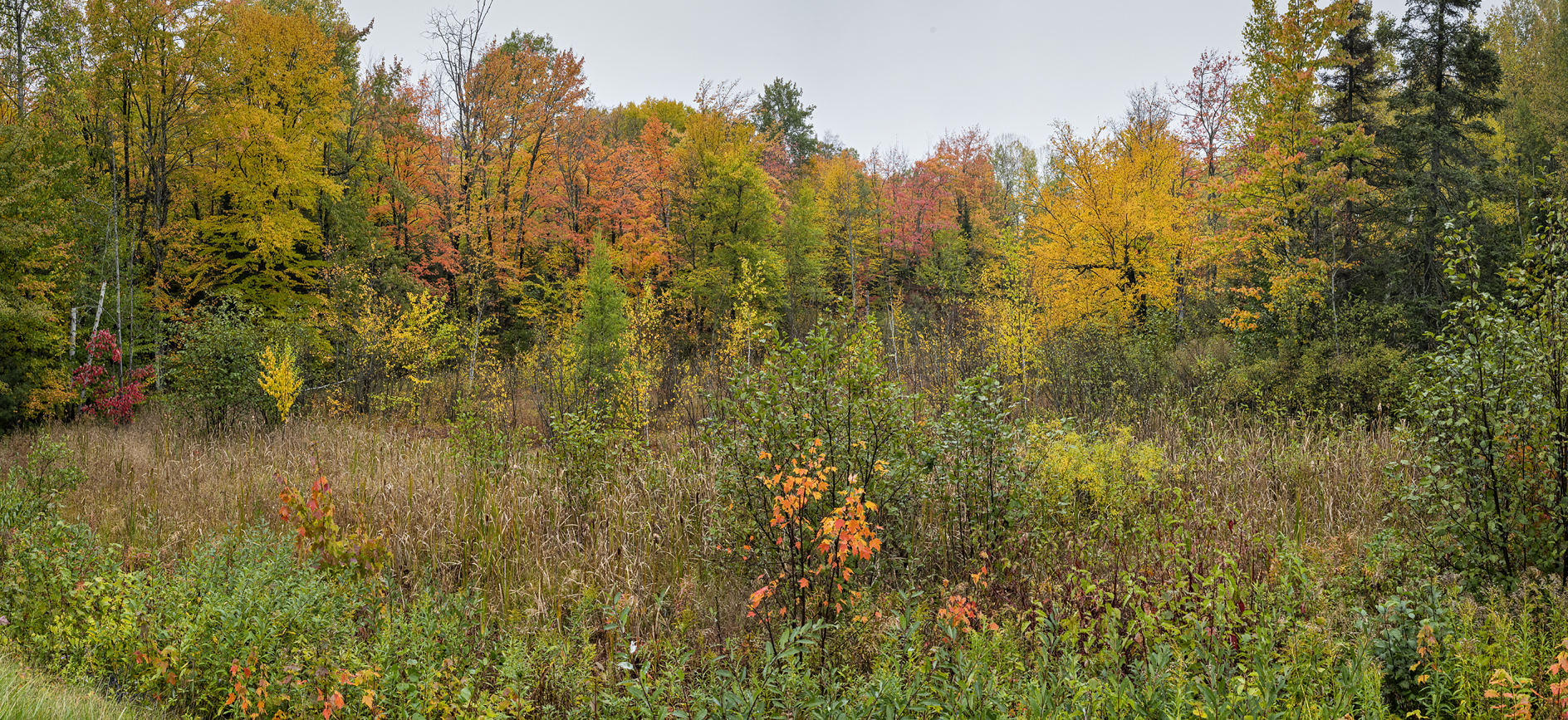 Ashland County Afternoon