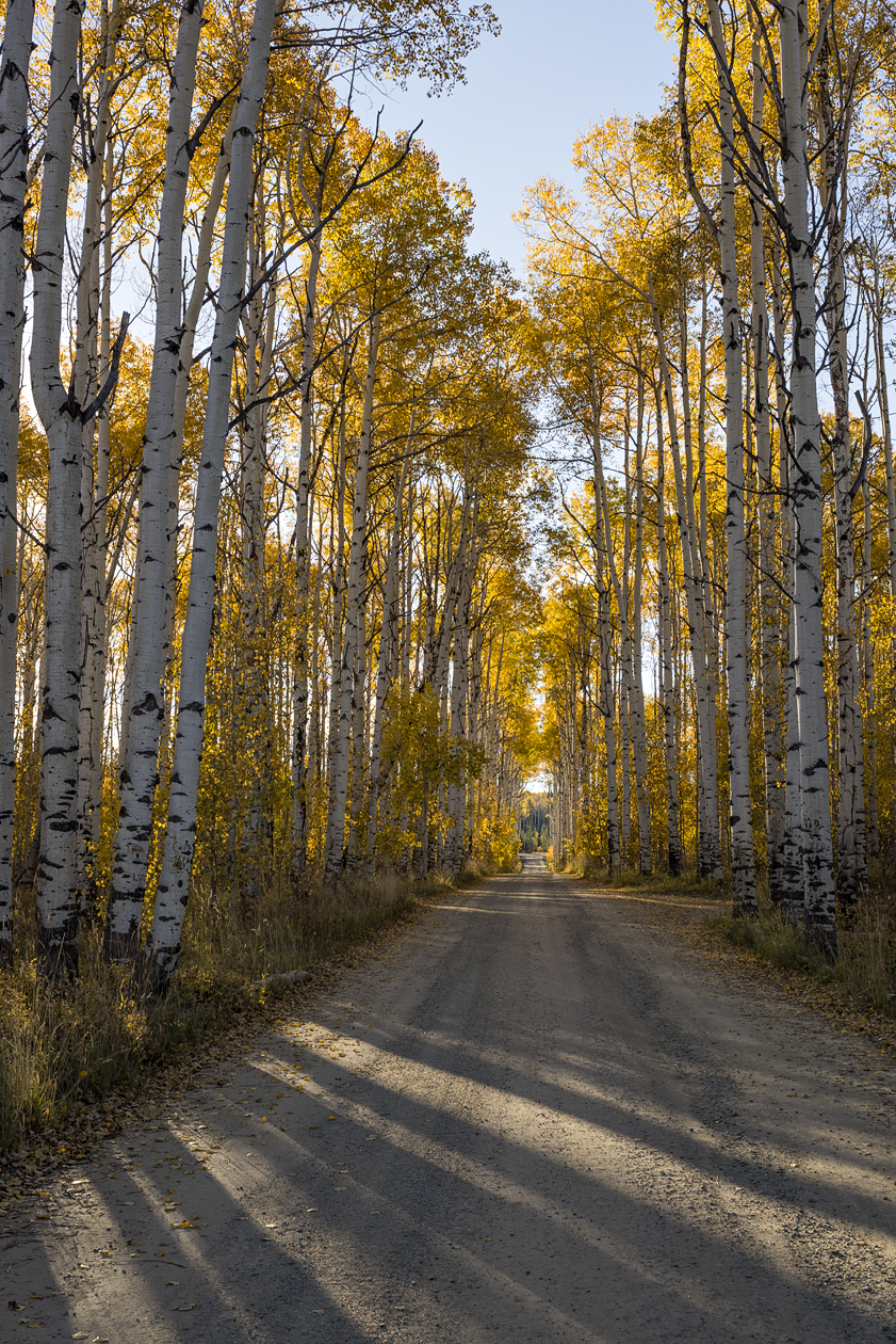 Aspen Alley