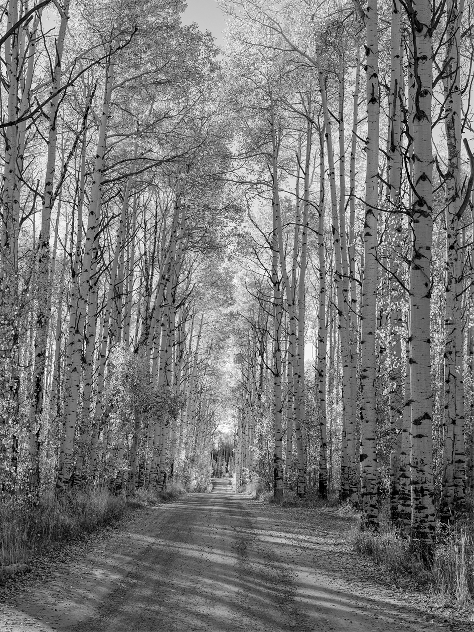 Aspen Alley II