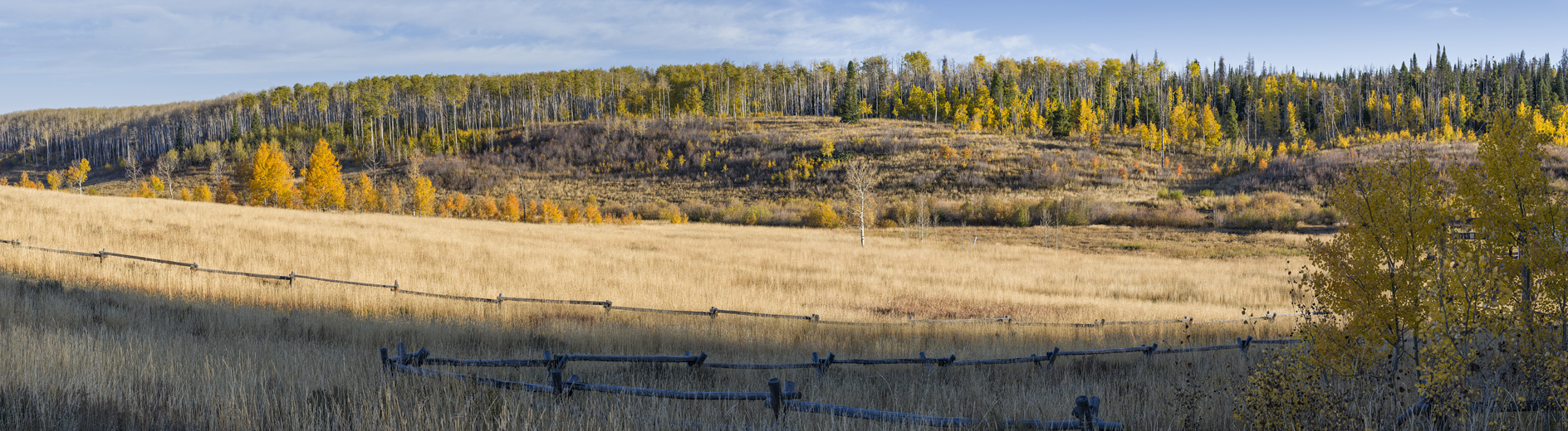 Aspen Alley Ranch II