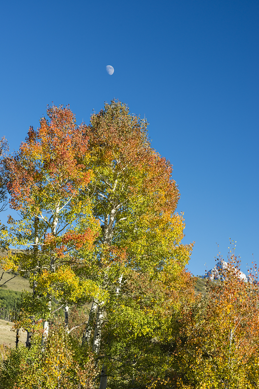 Aspen Moon II