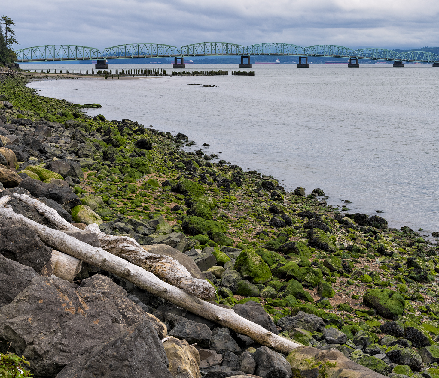 Astoria Bridge View