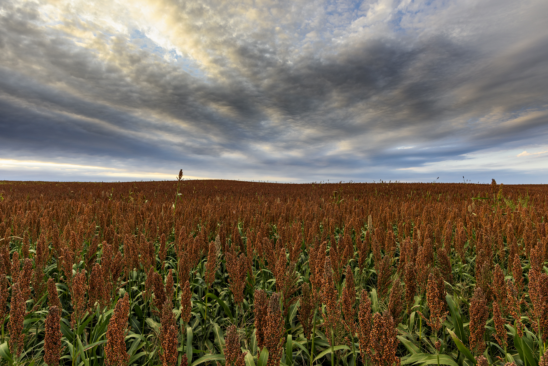 At Least One Volunteer