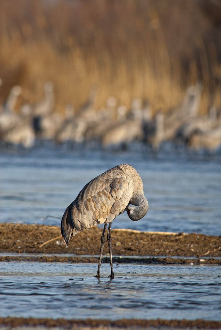 At the Beauty Parlor
